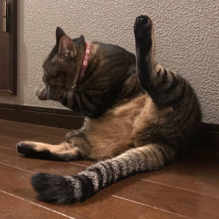 3e8a2527 bfb8 4455 b5bd 8d5c44188d35 1564493340890