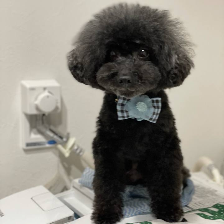 3e8a643a 0332 467b b2d3 579945b58ce6 1620517918826