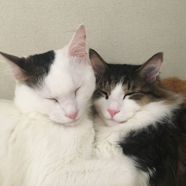 3e8a6f1f 0d5c 4f1a a648 01af331a576f 1559451650796