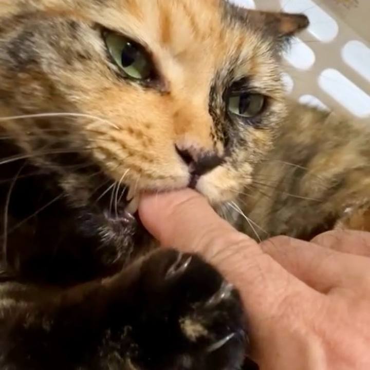 3e8a8bbd 9b52 4982 8195 89064dd9bf9d 1729019665442