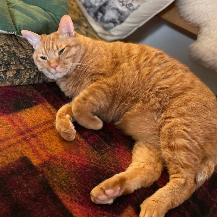 3e8a9c3d e904 41f2 93e5 cdf440f171b3 1706084837413