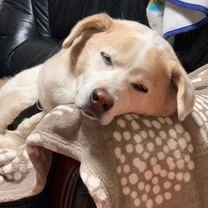 3e8ae598 4b64 443f ae19 d54687dc3d81 1671713122099