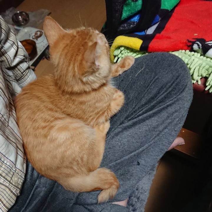 3e8ae8a1 c990 4c86 b91b 8386c59fa537 1632775513156