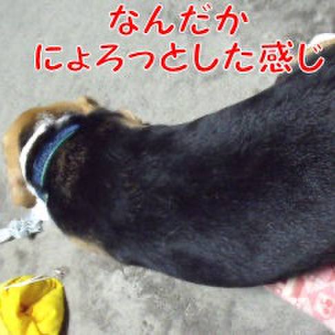 3e8aff9c 4a7c 46d7 b1b9 e7bdb18c57dd 1700438757085