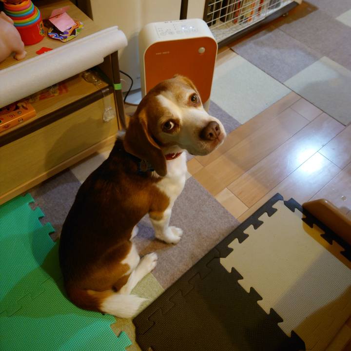 3e8b0b36 a264 4b4f ab9d 9521bc5af0cc 1701577391446