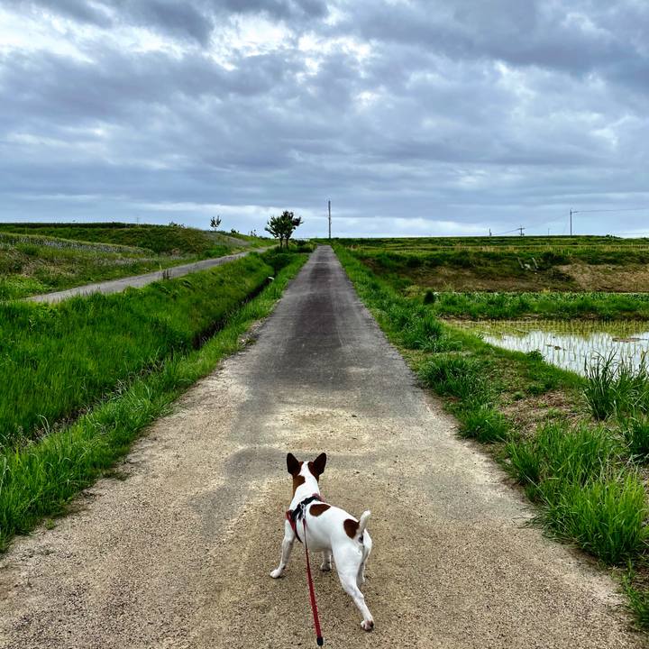 3e8b3b42 0746 45d5 9114 11d9c8ee9b05 1589028530109