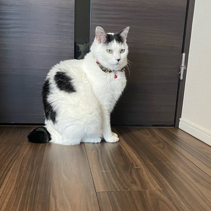 3e8b7a2d f642 4bc3 8848 66c72e35b383 1642030154761