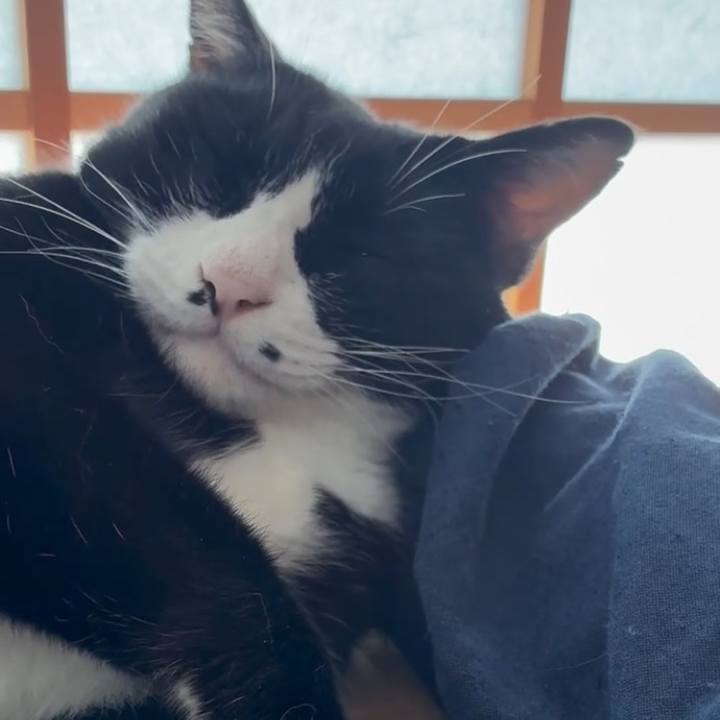 3e8ba35b d4c5 455d 83c2 f42460075b27 1766234176082