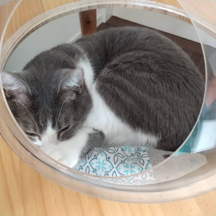 3e8bfb16 b65f 4bc8 bdfc 34b9d1917172 1632101352285