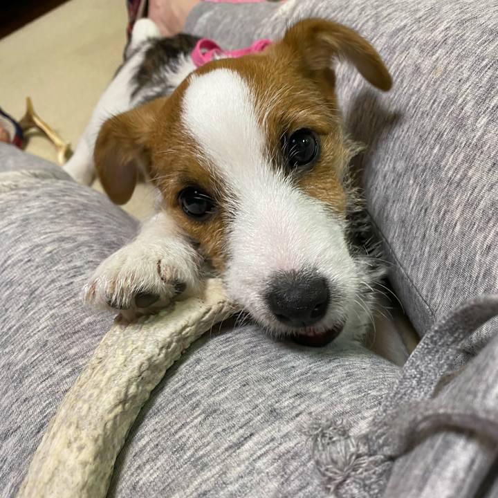 3e8c2e87 6e91 47ba 98be da54297f62f8 1615029121021