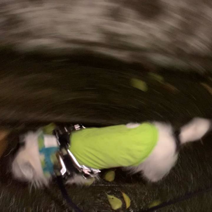 3e8c6a80 abb6 40af b941 baf97c6db2e4 1666013034711