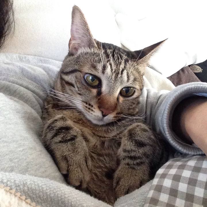 3e8c7c03 17bf 426e b107 e1f100dda0da 1510547338490