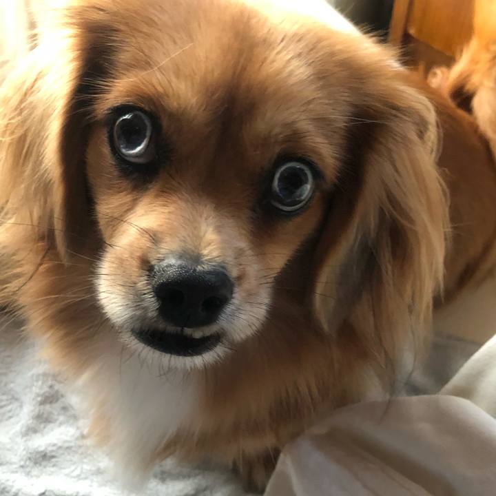 3e8c9490 7464 421f b56c 3f588eaf6fd8 1539210856834