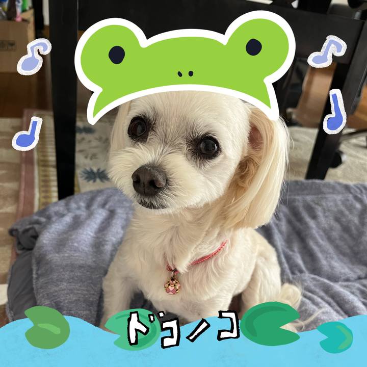 3e8cc5af 98ca 4e9d b2b1 955707675e16 1717571124700