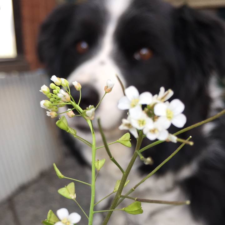 3e8cd793 59dd 4de7 8dbd 1d31a5dc0a0a 1584604406249