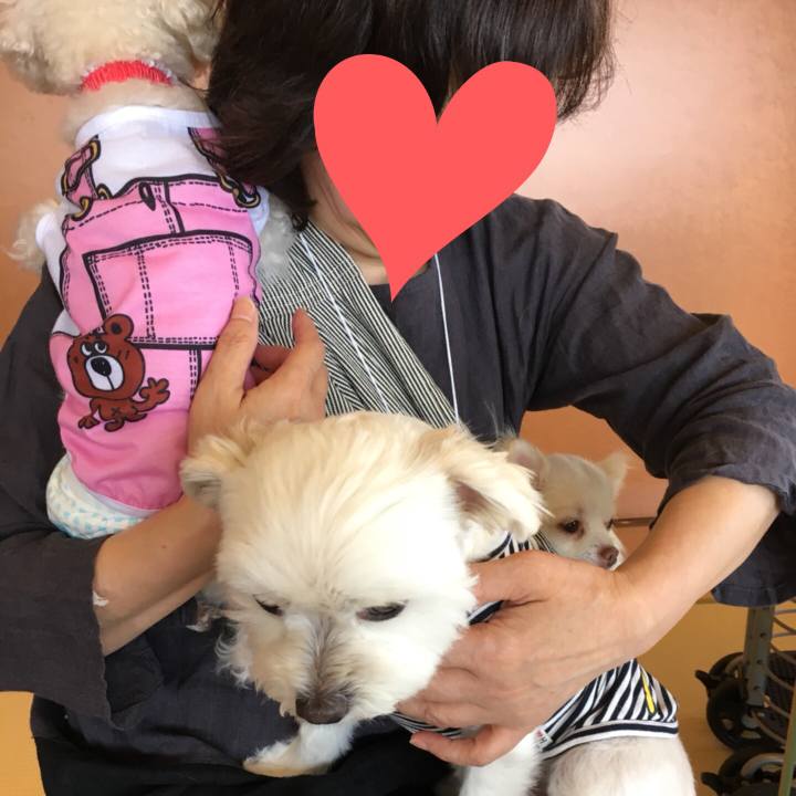 3e8cdcc2 4ee9 443f a983 281fdf62f38b 1526293473950