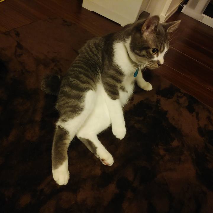 3e8ce4df 6706 4407 98ac 5b1ac139f04f 1578927192574