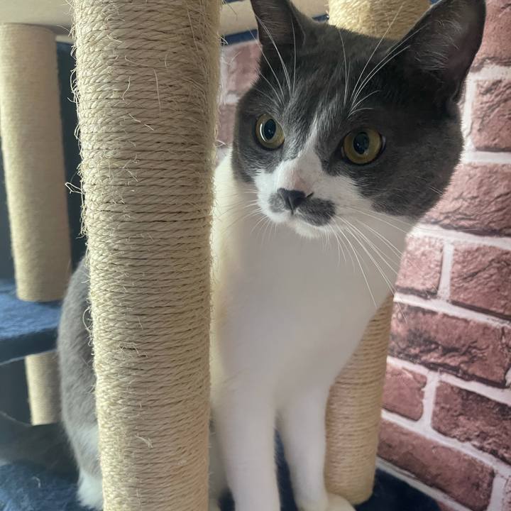 3e8d3a13 d908 4389 913d 907f1678a258 1629243896365