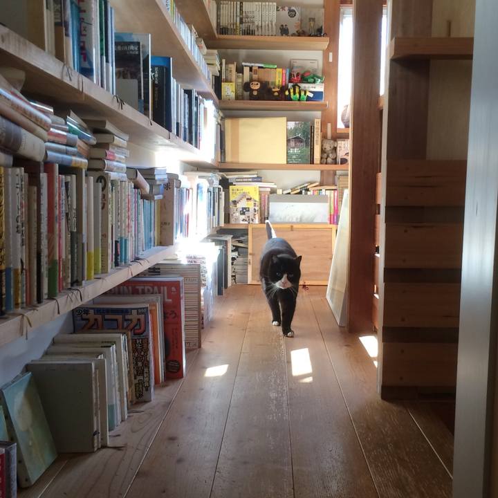 3e8d480b db64 442c b6d8 83ea55372ee3 1578875550504