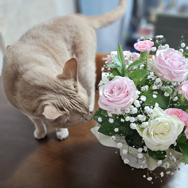 3e8d62f4 07f0 451f b4bc b994d4e45fd3 1729779203462