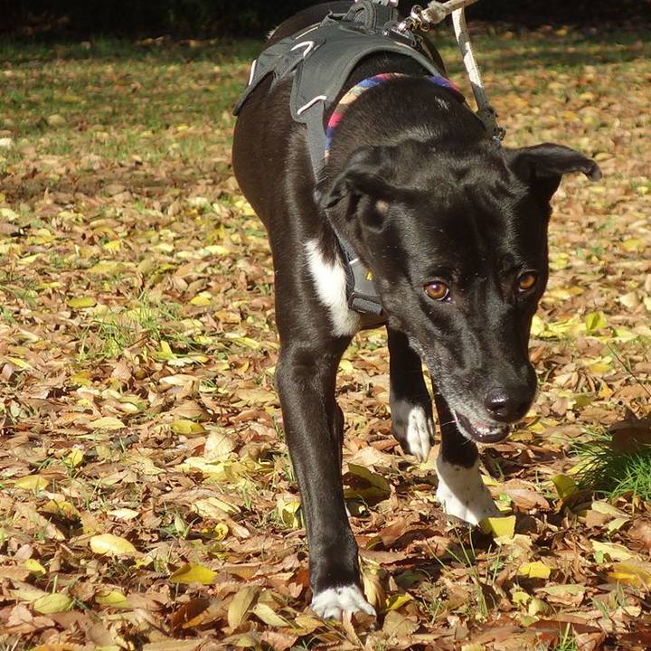 3e8e3bc4 f380 4335 9f96 e88efb614b5a 1637629260583