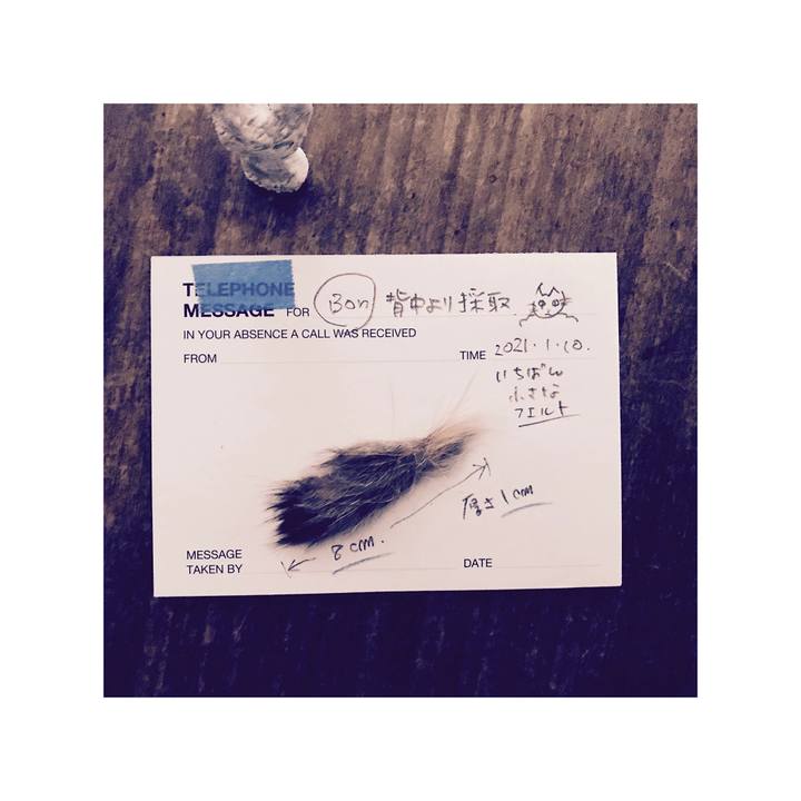 3e8e8609 b6e9 4b87 9be1 4ae9238450f5 1610263094872