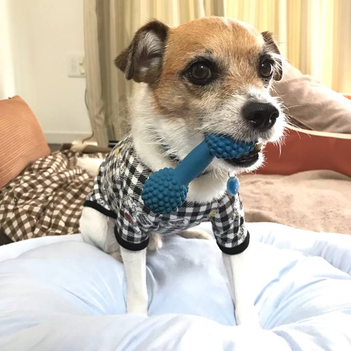 3e8ebccd 0620 42de 94d2 9c709a357f6d 1561196404080