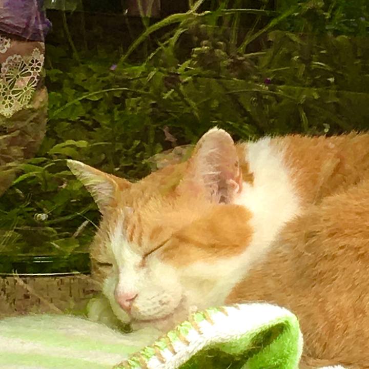 3e8eca5b 16f3 4735 ab75 990003f0ce49 1625557090390