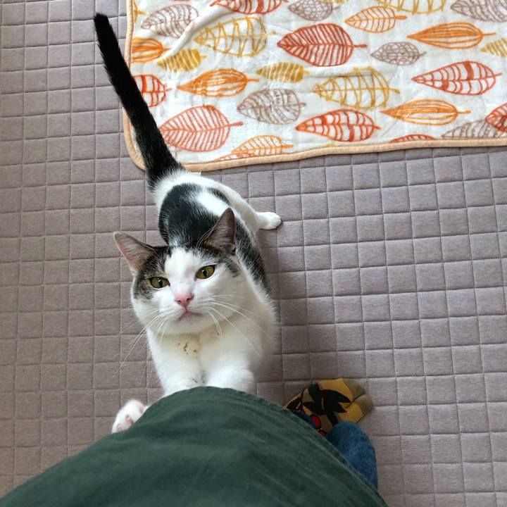 3e8eca7f 4590 43b8 b887 3f51ef3edc90 1634881166302