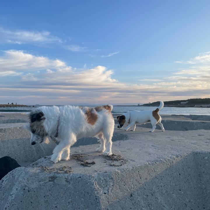 3e8ed2d5 4f1b 400c a0c0 f990813949ef 1697237550955