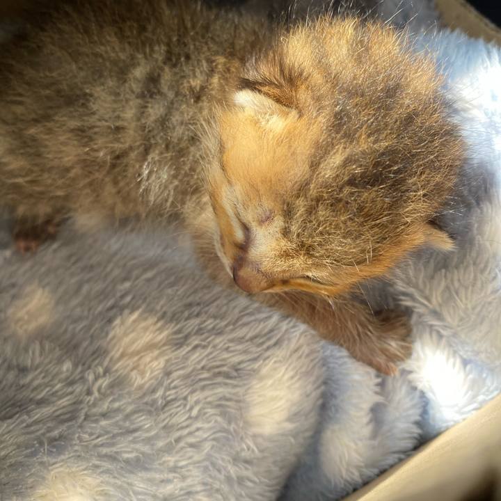 3e8edcc8 0223 4c0f 85d0 35aab7eaf020 1618014767478