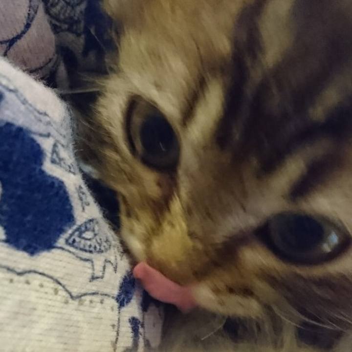 3e8f19fb 903e 4a0b a706 88684824d719 1516247790961