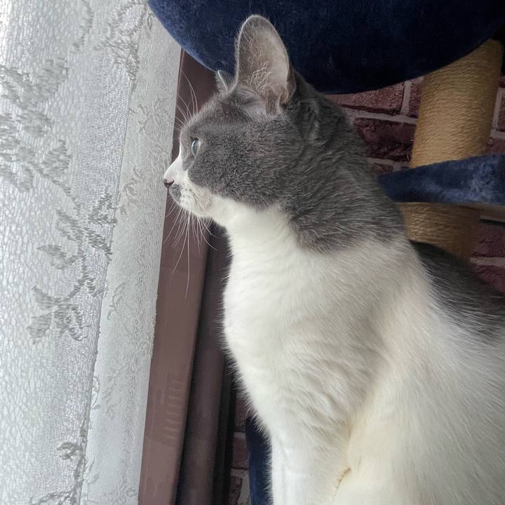 3e8f1a3c 5d3d 4b7d a757 600a9e0bb2e2 1721634063834