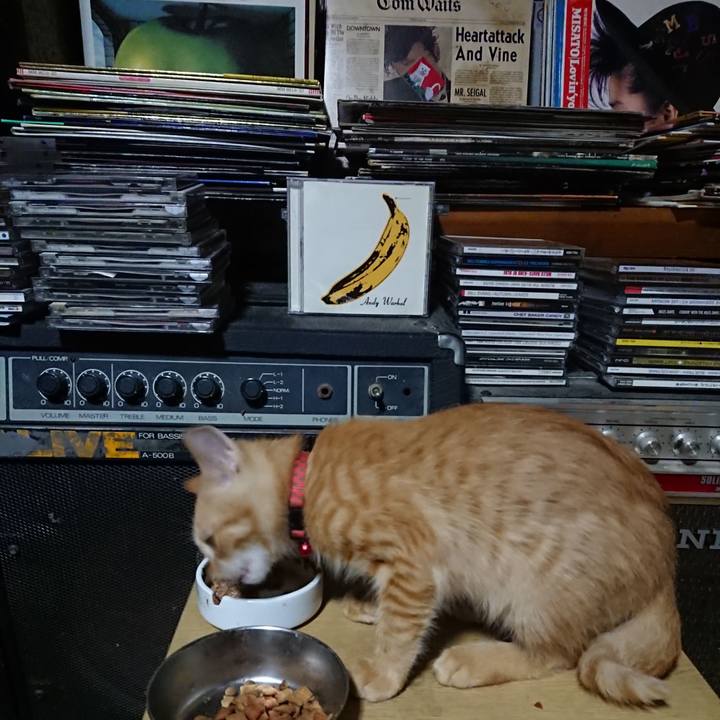 3e8f3533 dfbd 47b9 89ea 2ad5c0d4951d 1632136640197