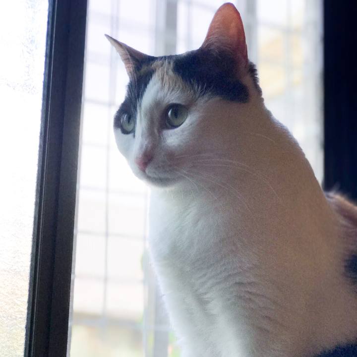 3e8f7816 7ced 4ba1 88c7 64a33ba1ec0f 1524802989154