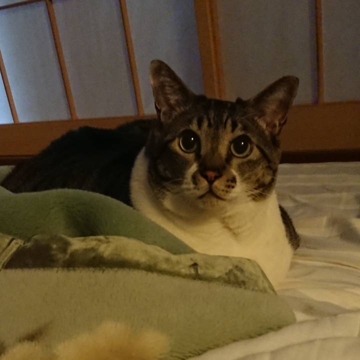 3e8fc833 b2ce 4ae5 af0c 74c35043726e 1572352449878