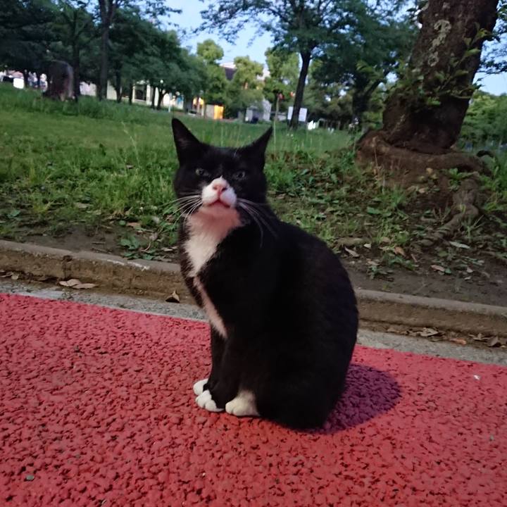 3e8fd7d8 cc5c 4e1c bf8d 0358762c68ac 1526725458986