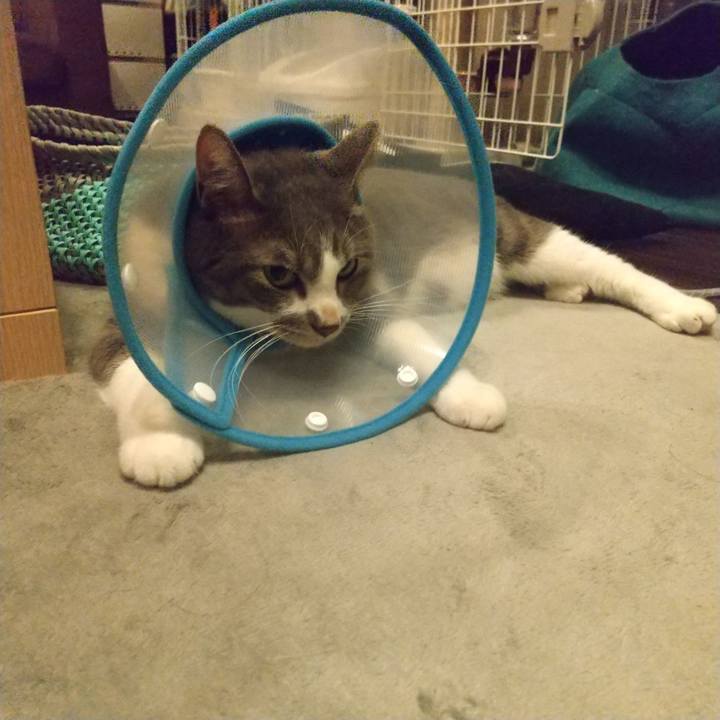 3e902176 2e27 4ae8 858d 930d0d4288ba 1631482791900