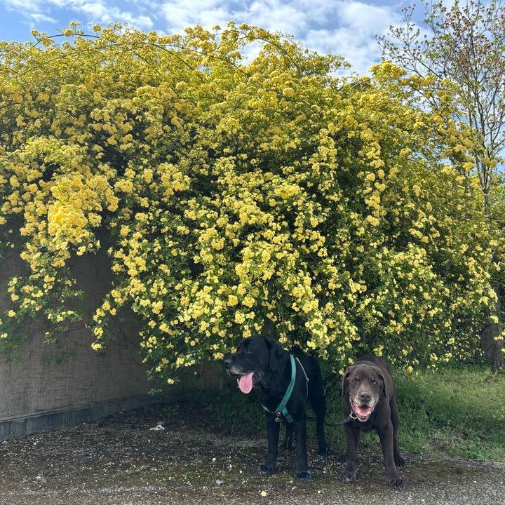 3e9050a6 fb0f 44f0 bce4 37b05ca63afa 1776516354672