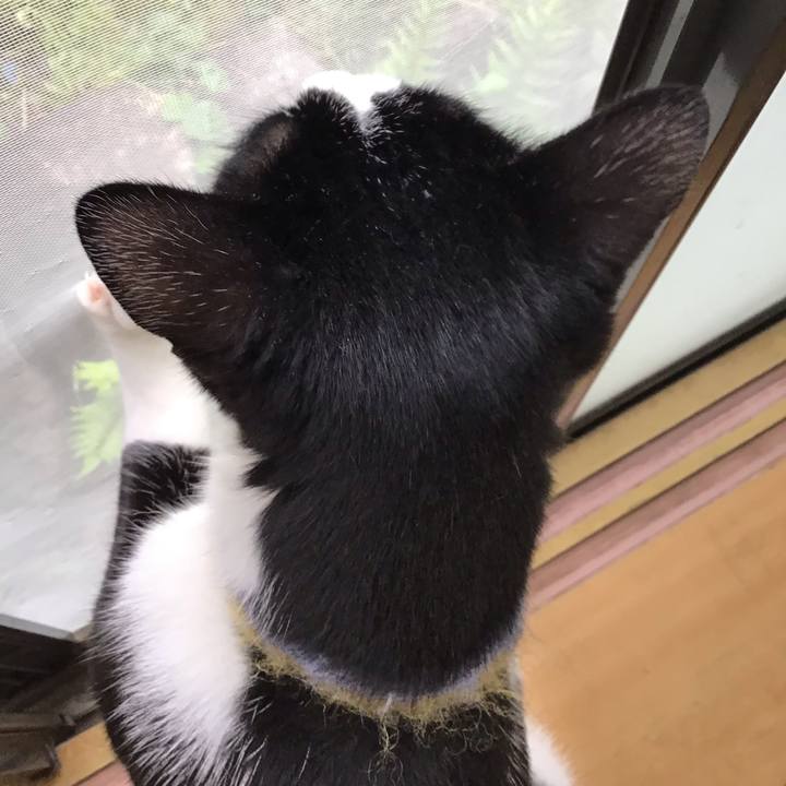 3e906893 4eef 4479 acb3 6cfb2b5f9f00 1652744126769