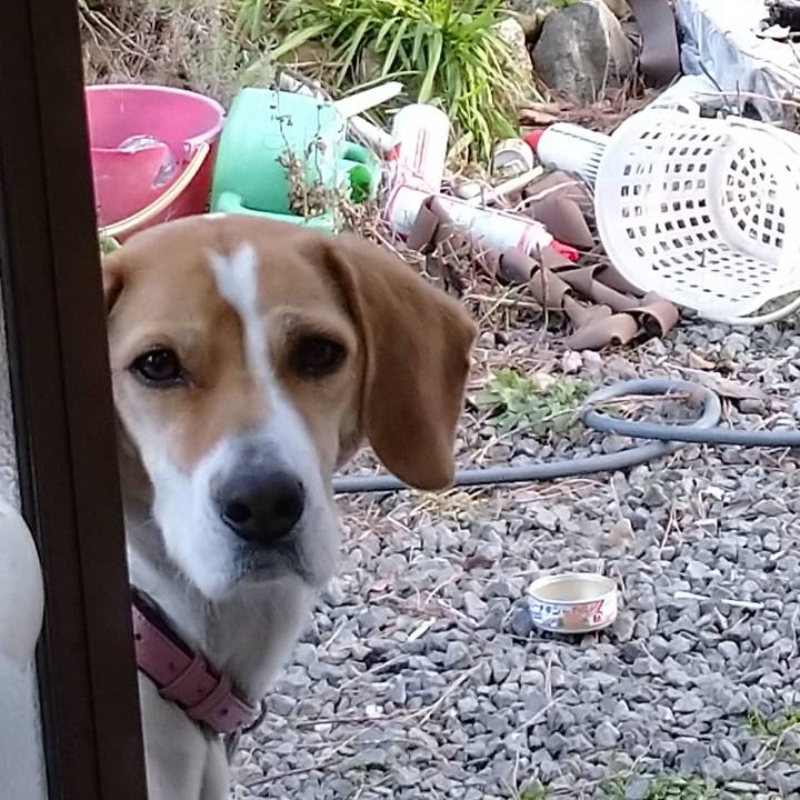 3e9093eb 2781 4c0a 8020 986086ffeab5 1582275603902