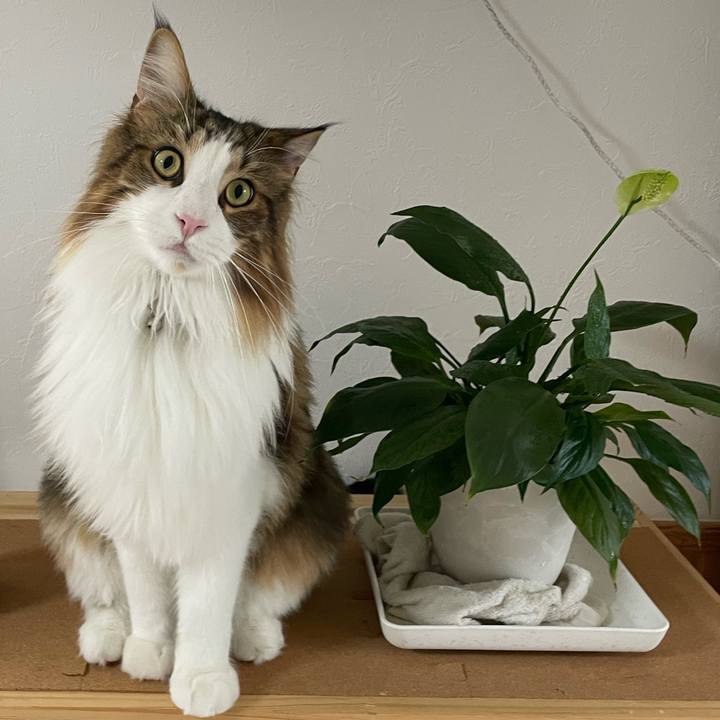 3e90c393 5a5c 4187 b08f 374ad50cf905 1667440503057