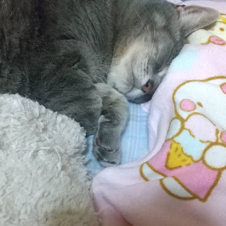 3e90eccb beb8 487b a827 45433504d710 1621180732541