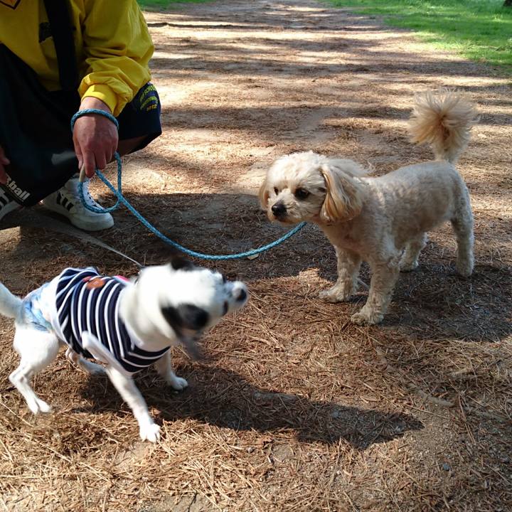 3e913465 8763 494f 946b 3138f896d5f3 1525519307743