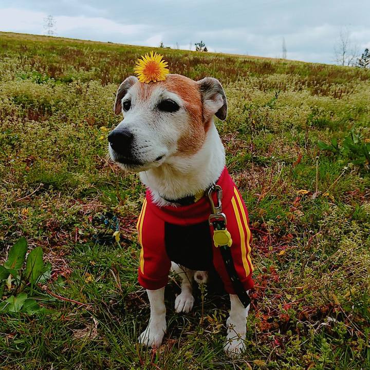 3e91a670 9315 43f5 b612 feb22108d7b5 1553413231889