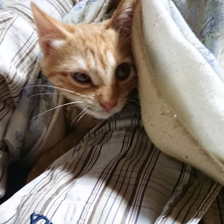 3e91b130 0159 4709 9e23 5eebdea835c1 1632515631444