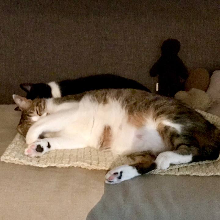 3e91b286 e449 453a 8764 24e7eb032066 1527663985754