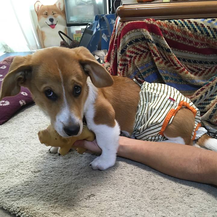 3e91c800 6d71 4fb9 adbe 9b79bb91a602 1594353914726