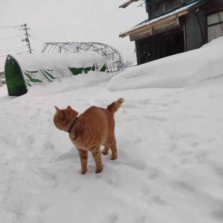 3e91d443 3307 4593 89cc 5788e56dd8ce 1674770448298