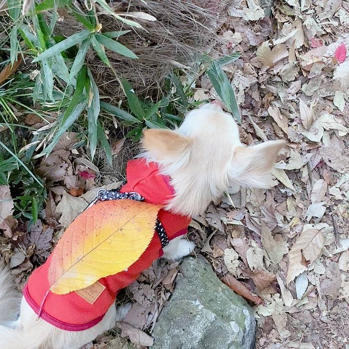 3e9221f5 6744 4dde 857d 011481b47946 1608106711568